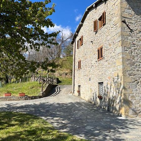 Il Casale Di Rolando Apartment Castiglione di Garfagnana Exterior photo